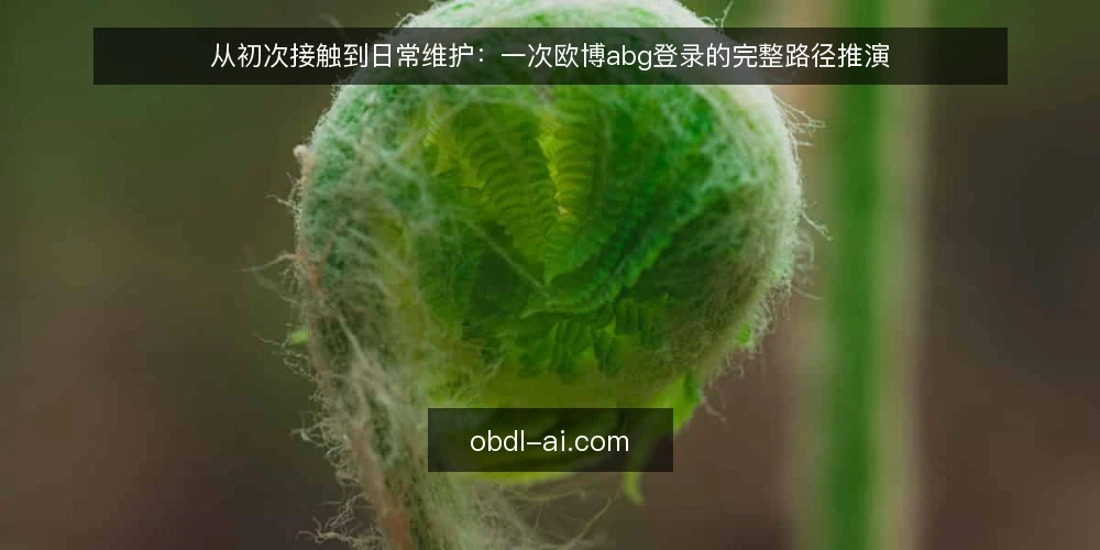 从初次接触到日常维护：一次欧博abg登录的完整路径推演 — 场景设定：从一次日常登录开始 配图